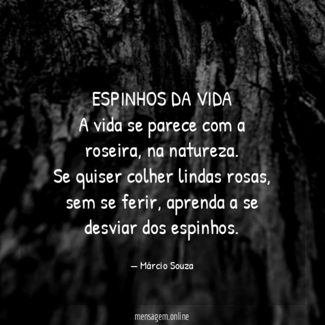 ESPINHOS DA VIDA A vida se parece com a roseira
