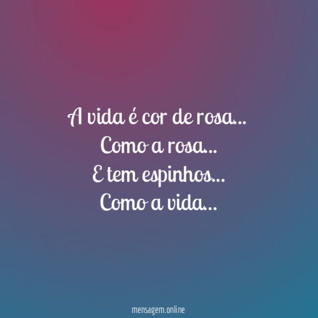 A vida é cor de rosa