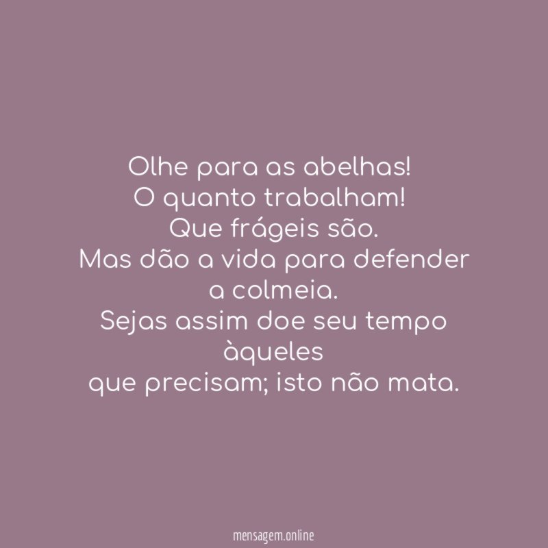 Olhe para as abelhas