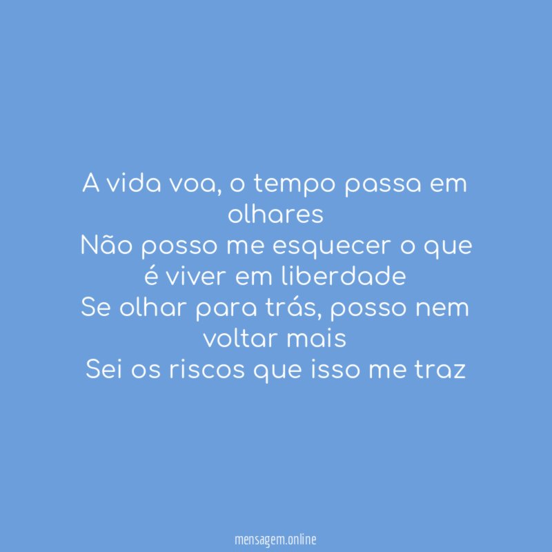 A vida voa