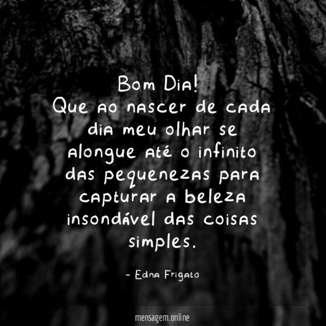 Bom Dia!