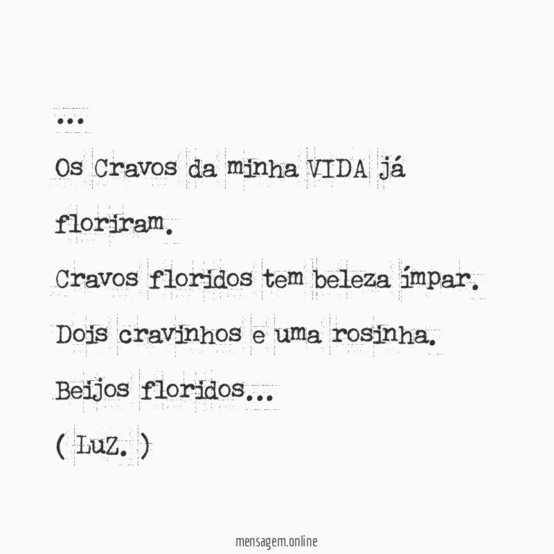Os Cravos da minha VIDA já floriram
