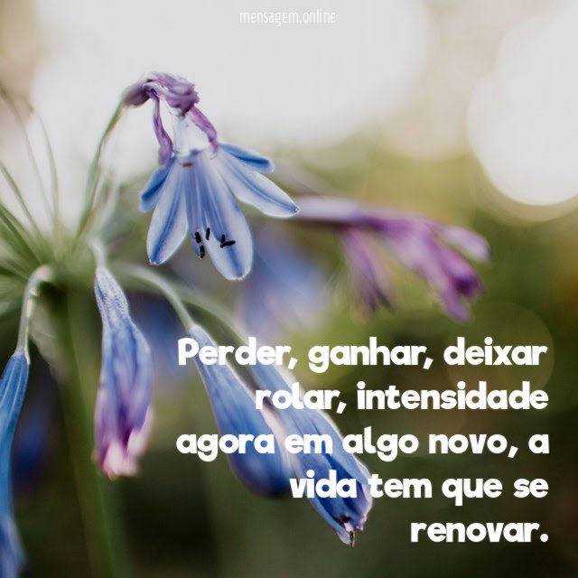 Perder