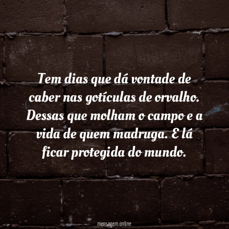 Tem dias que dá vontade de caber nas gotículas de orvalho