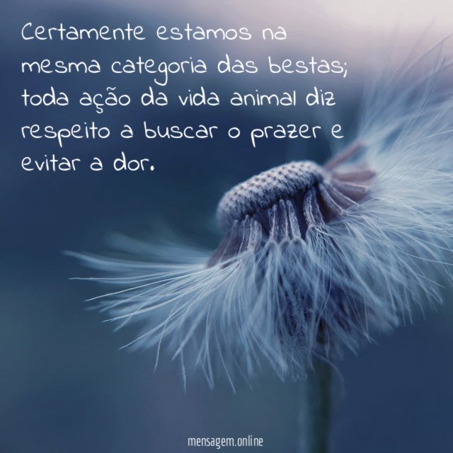 Certamente estamos na mesma categoria das bestas