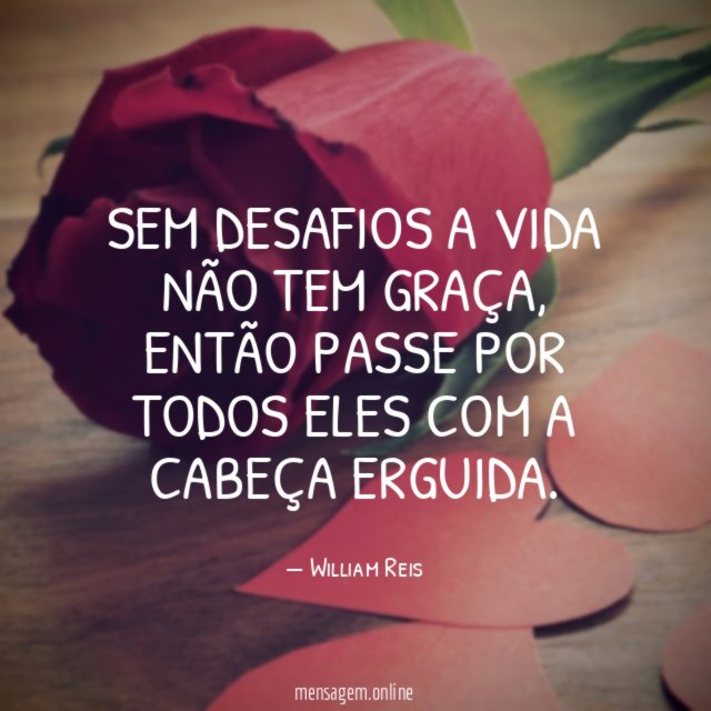 Sem desafios a vida não tem graça
