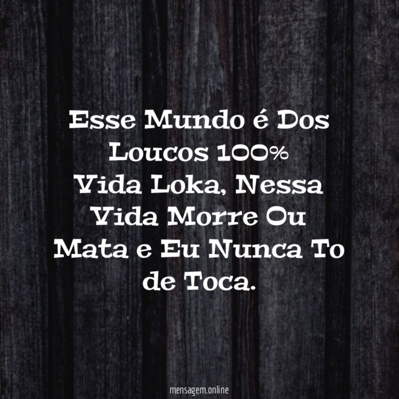 Esse Mundo é Dos Loucos 100% Vida Loka