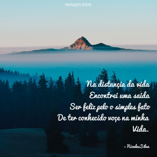 Na distançia da vida Encontrei uma saida Ser feliz pelo