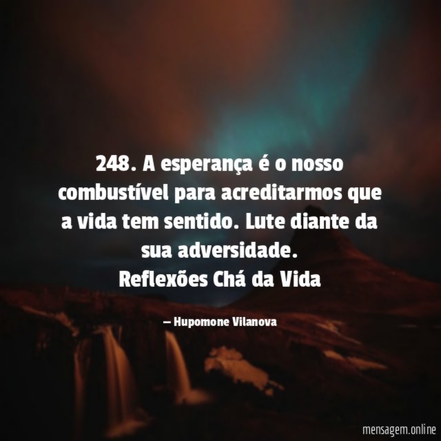 248. A esperança é o nosso combustível para acreditarmos que a vida tem sentido. Lute diante da sua adversidade.