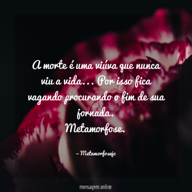 A morte é uma viúva que nunca viu a vida… Por isso fica vagando procurando o fim de sua jornada.