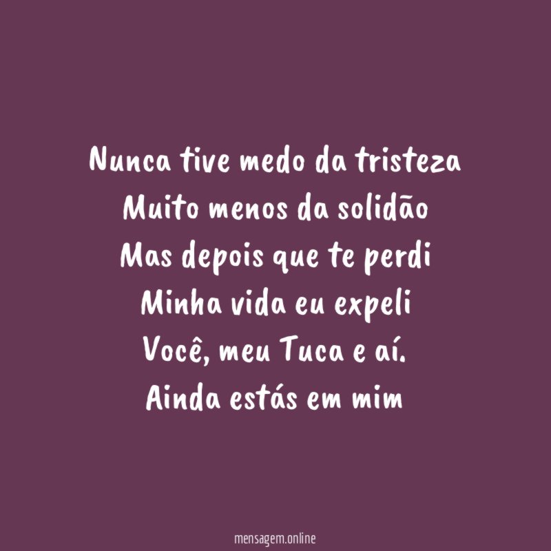 Nunca tive medo da tristeza Muito menos da solidão Mas