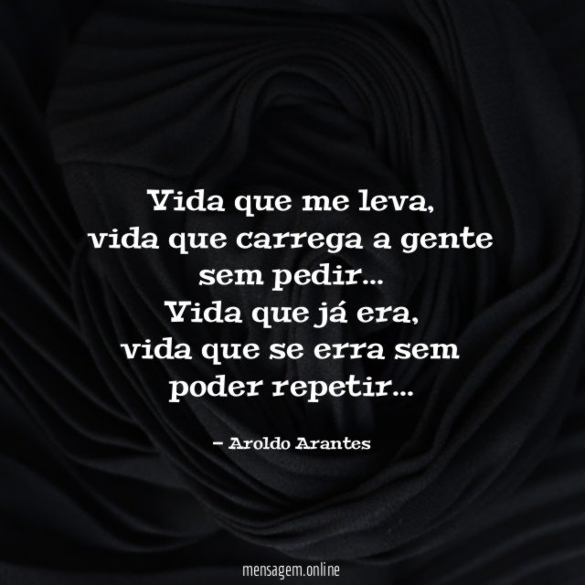 Vida que me leva