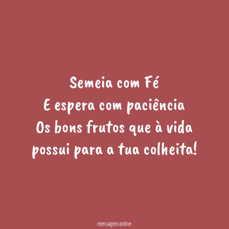 Semeia com Fé E espera com paciência Os bons frutos