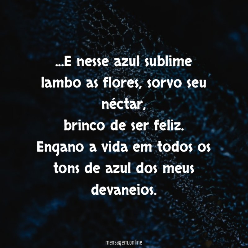 E nesse azul sublime lambo as flores