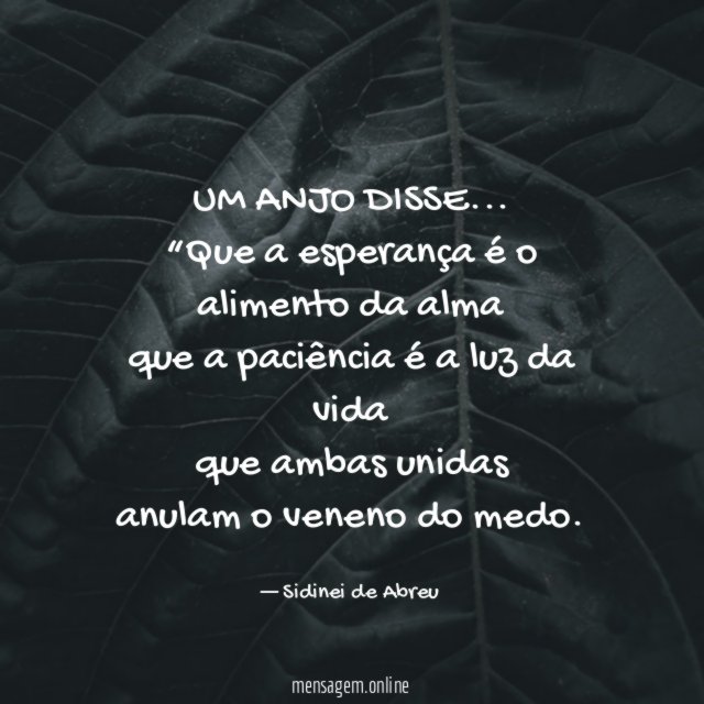 UM ANJO DISSE…