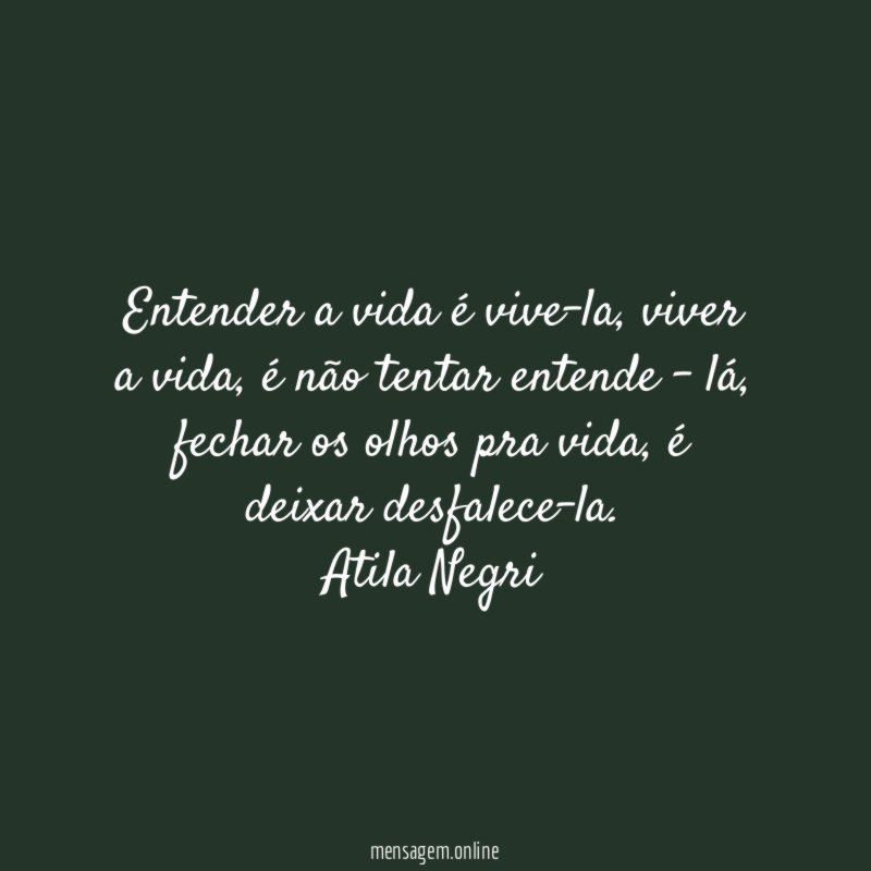Entender a vida é vive-la, viver a vida, é não tentar entende - lá, fechar os olhos pra vida, é deixar desfalece-la.