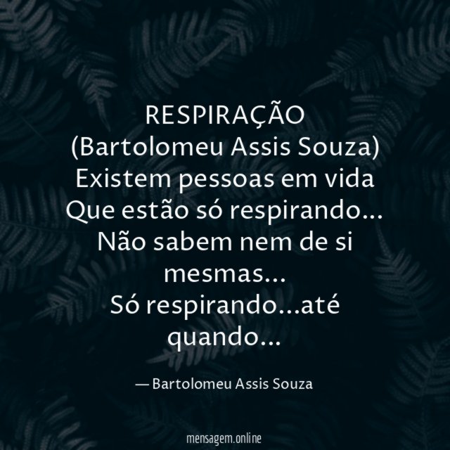 RESPIRAÇÃO
(Bartolomeu Assis Souza)