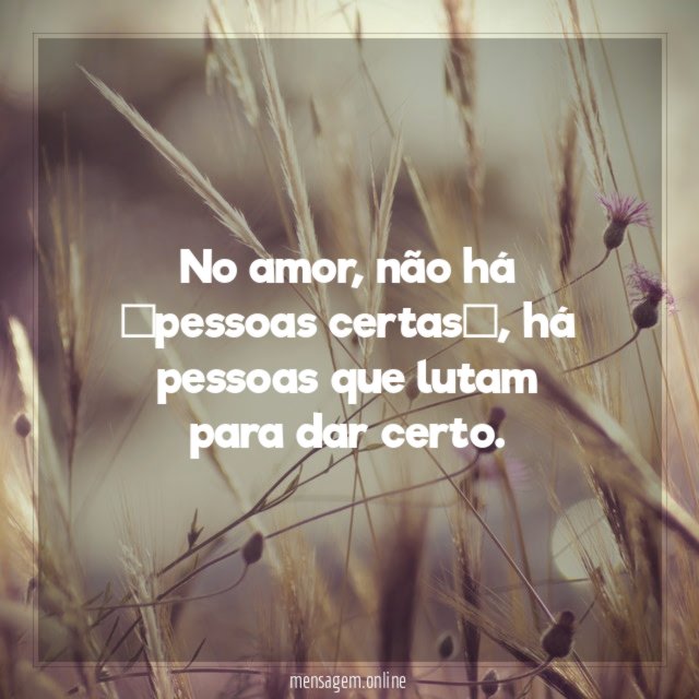 No amor