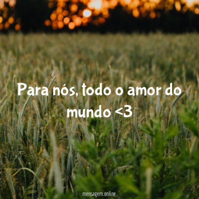 Todo o amor do mundo