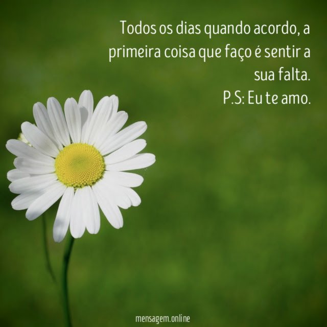 Todos os dias
