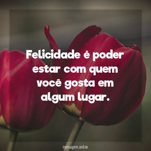 Felicidade é poder estar