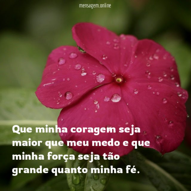 Que minha coragem