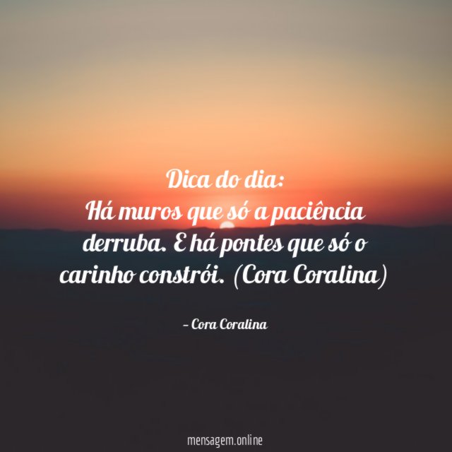 Há muros que só a paciência derruba