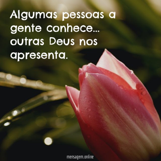 Algumas pessoas a gente conhece