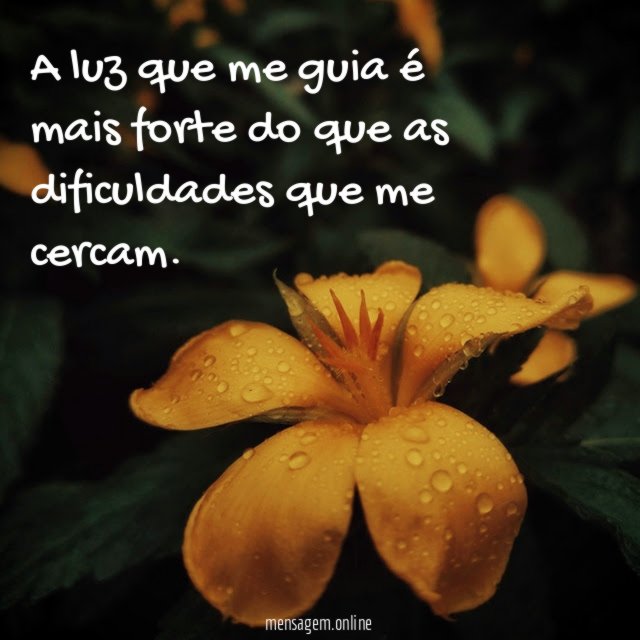 A luz que me guia