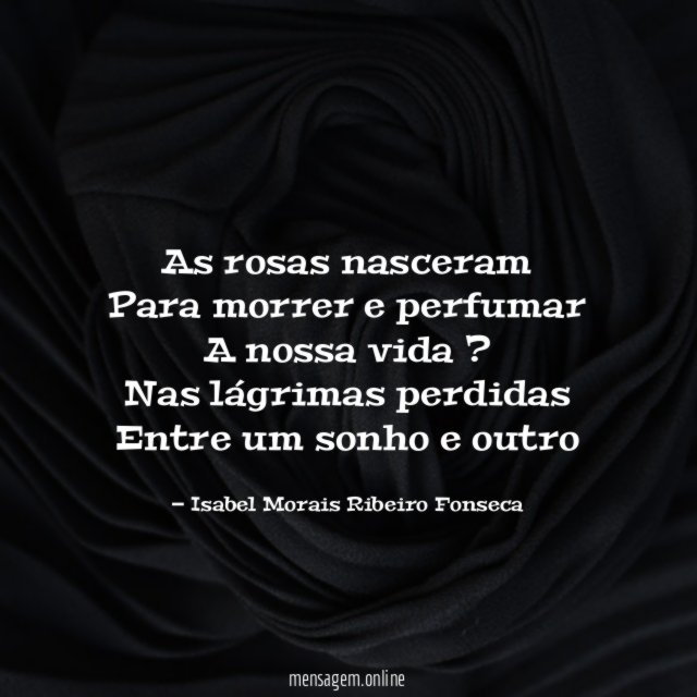 As rosas nasceram Para morrer e perfumar A nossa vida