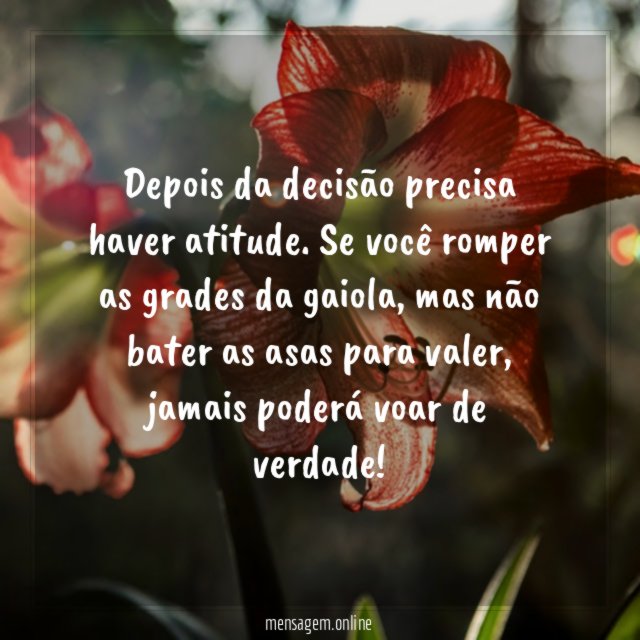 Depois da decisão