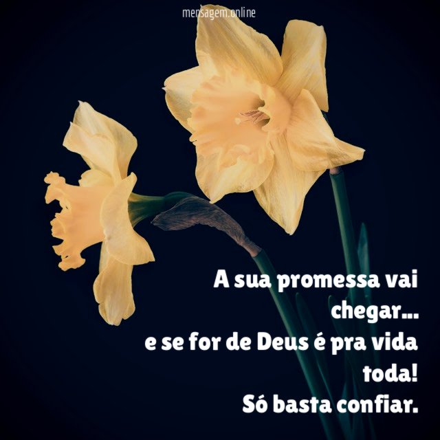 A sua promessa vai chegar