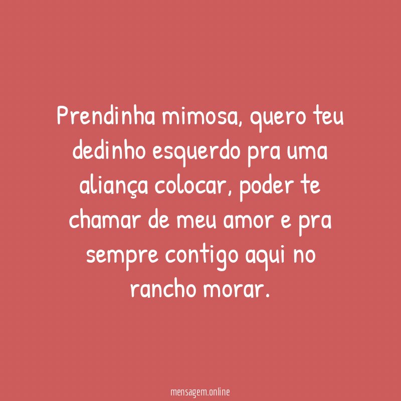 Prendinha mimosa