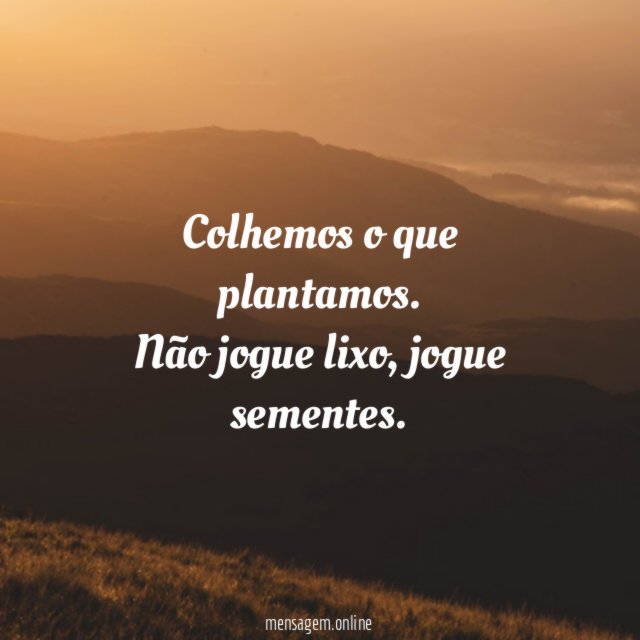 Colhemos o que plantamos