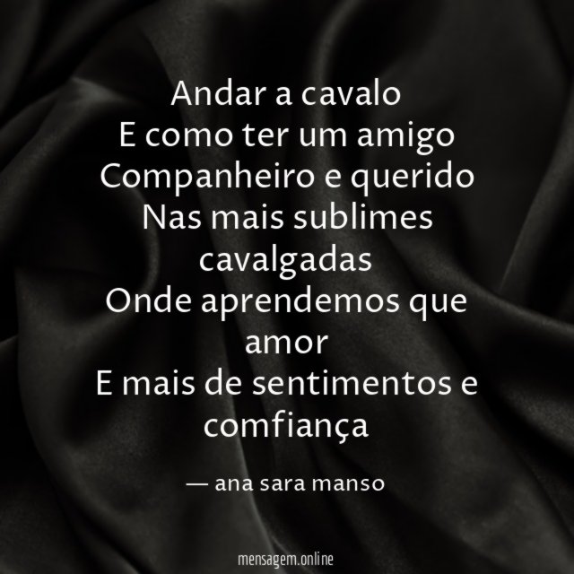 Andar a cavalo E como ter um amigo Companheiro