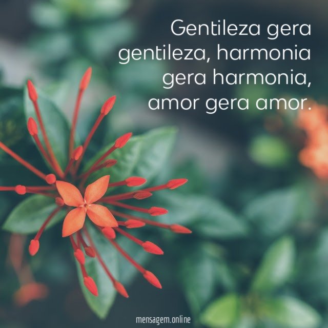 Gentileza gera gentileza