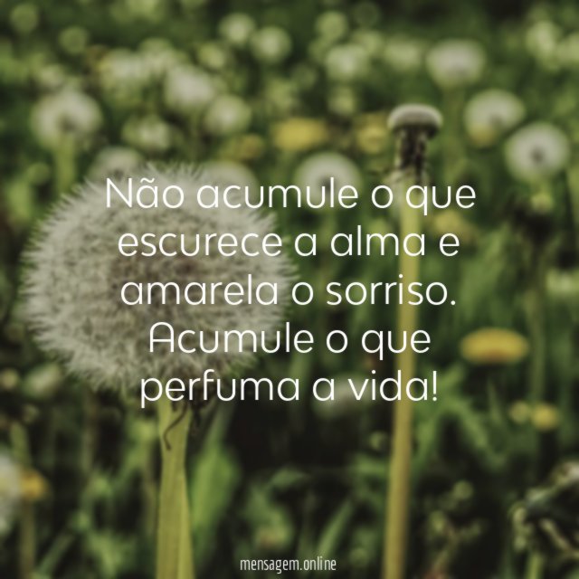 Não acumule
