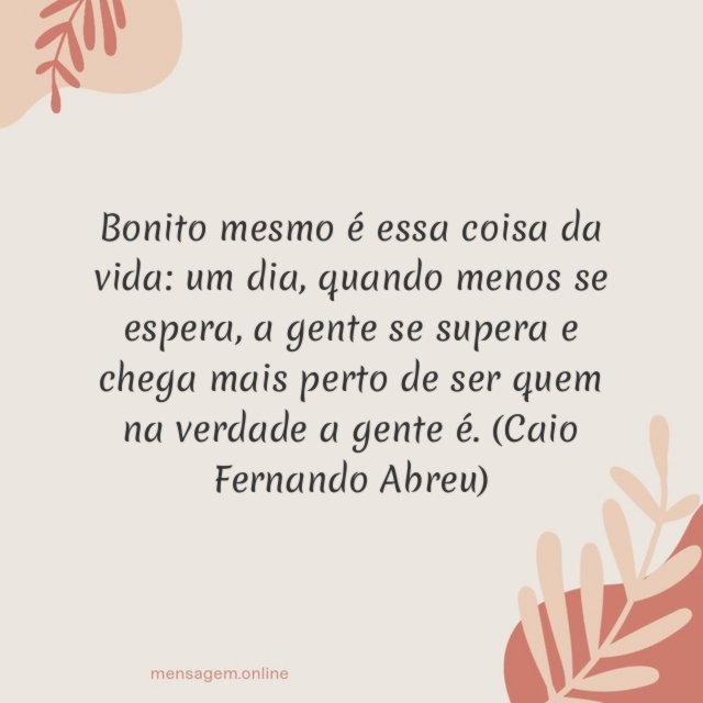 Bonito mesmo