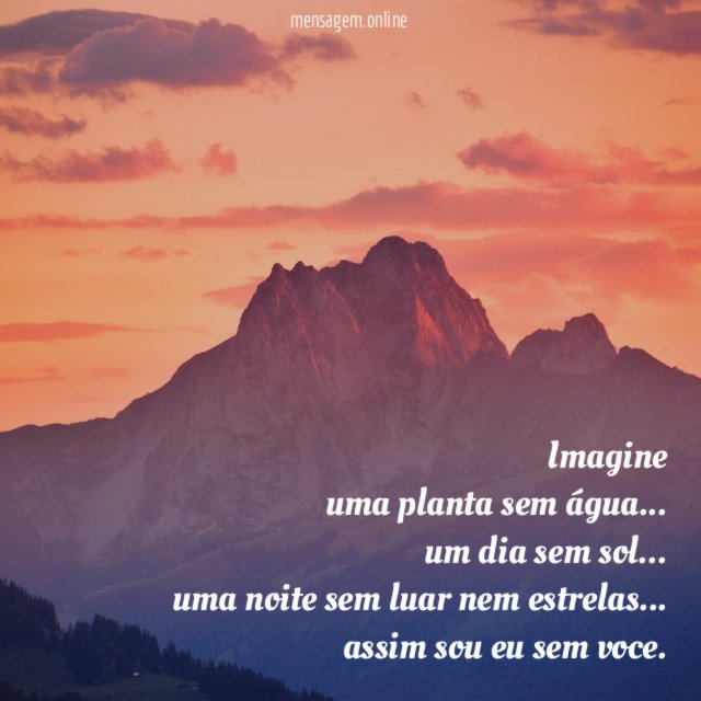 Imagine uma planta sem água