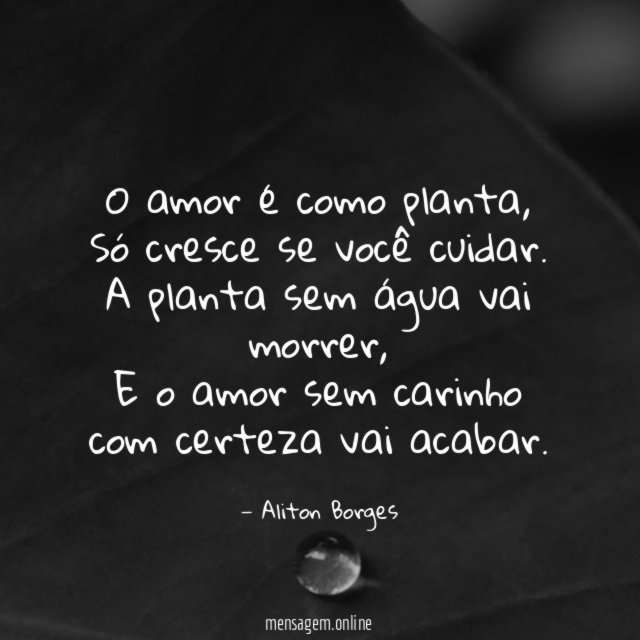 O amor é como planta
