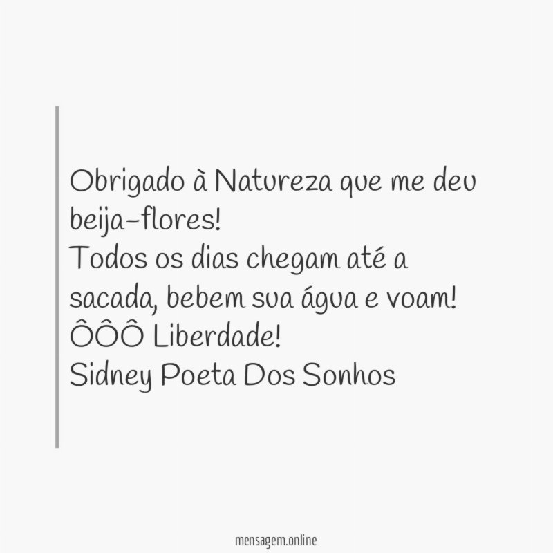 Obrigado à Natureza que me deu beija-flores!
Todos os dias chegam até a sacada, bebem sua água e voam!
ÔÔÔ Liberdade!