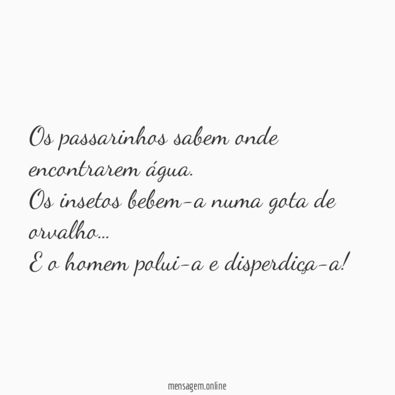 Os passarinhos sabem onde encontrarem água