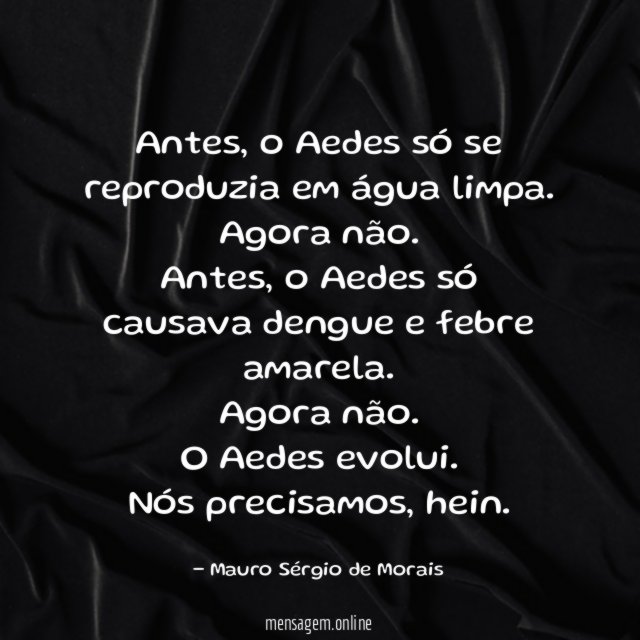 Antes, o Aedes só se reproduzia em água limpa.
Agora não.