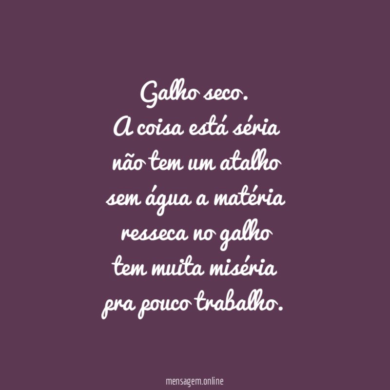 Galho seco.