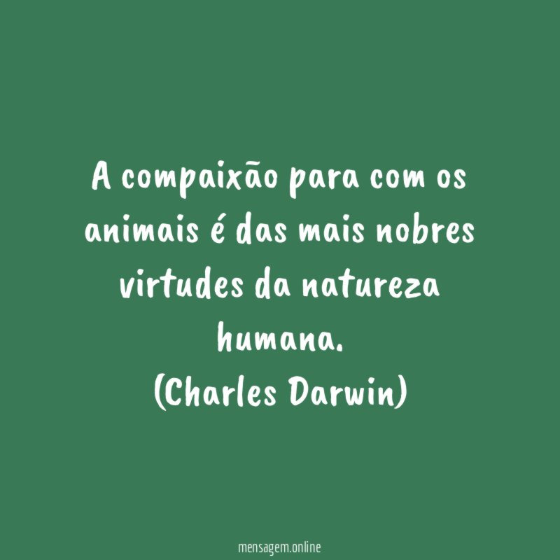 Cuide dos animais