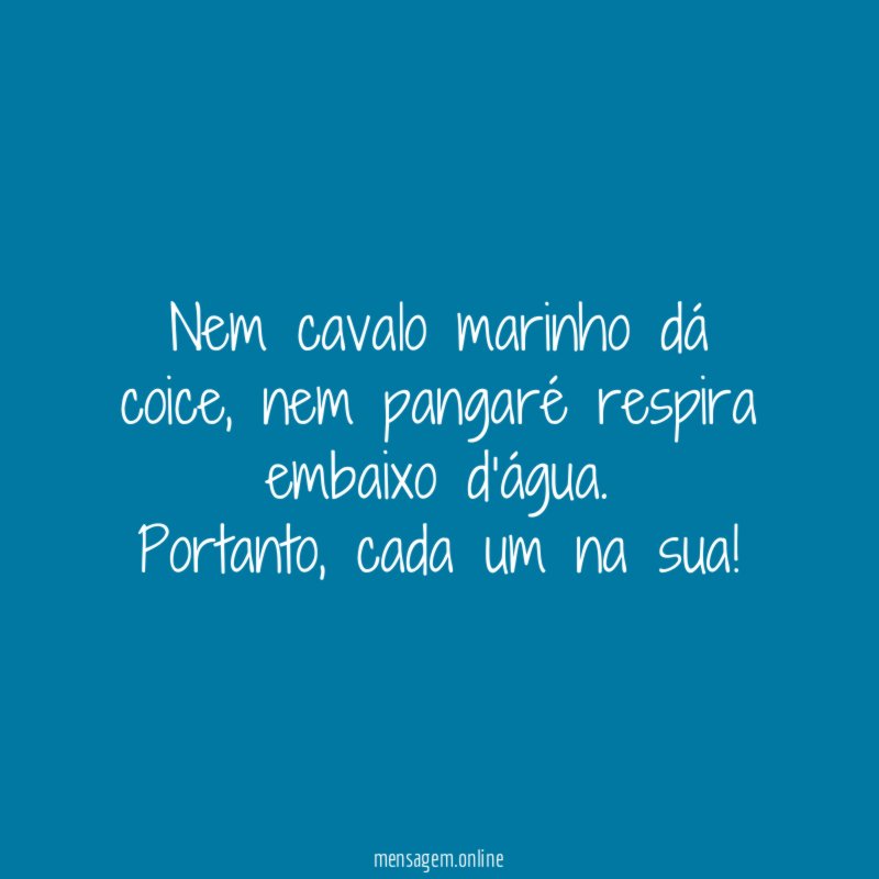 Nem cavalo marinho dá coice