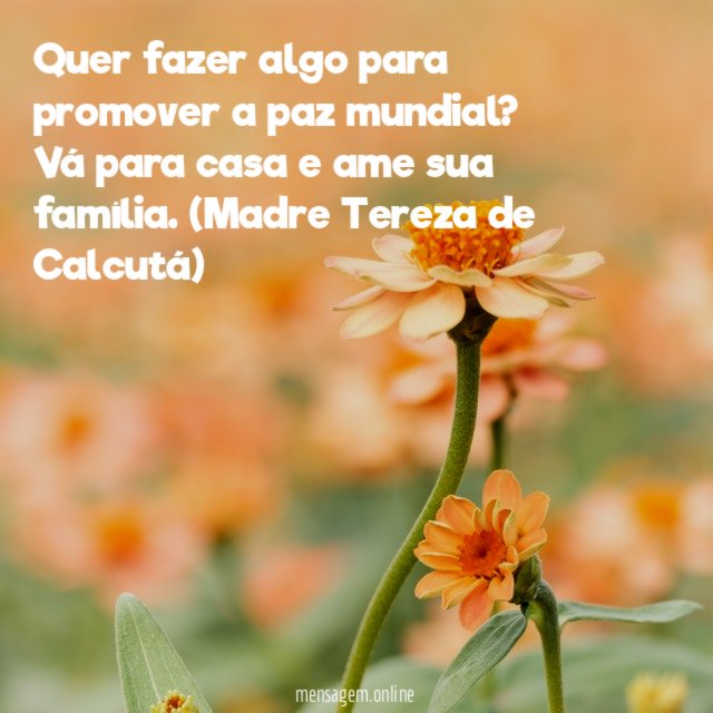 Ame sua família