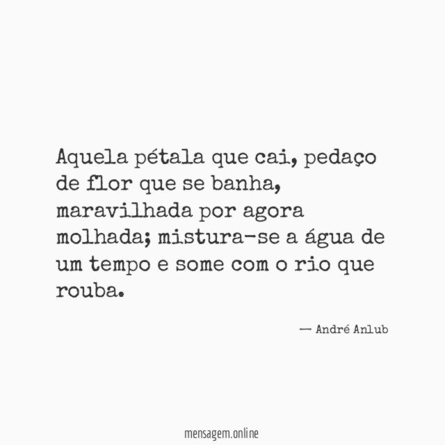 Aquela pétala que cai