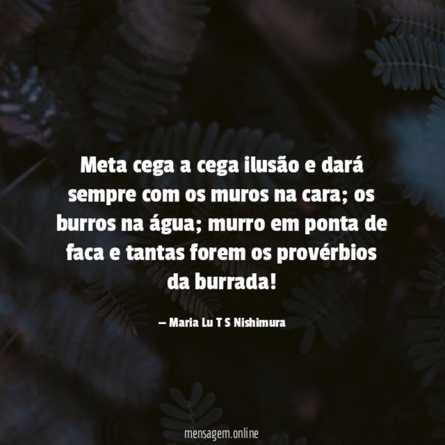 Meta cega a cega ilusão e dará sempre