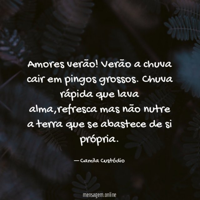 Amores verão